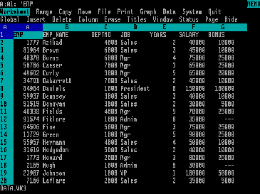 Lotus 1 2 3 MS DOS xxl