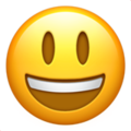 happy emoji happiness xl