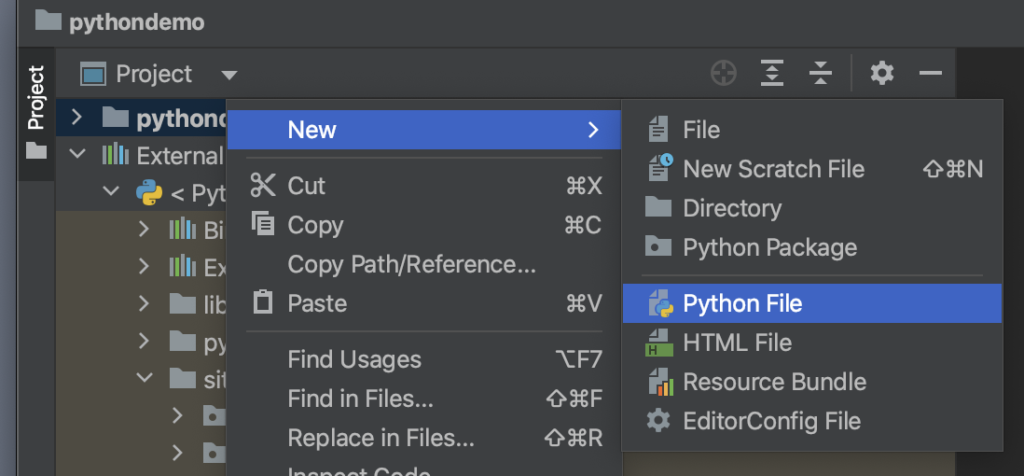create a new Python file